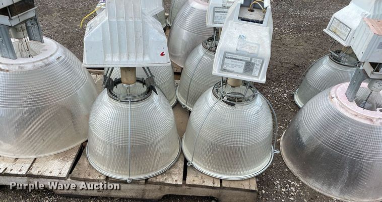 image for item DI7757 Approximately 10 lights