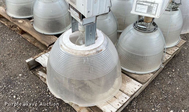 image for item DI7757 Approximately 10 lights