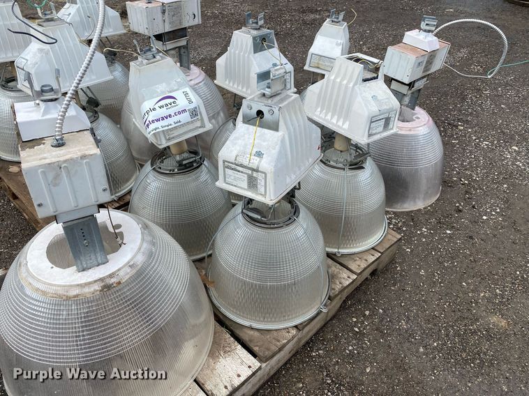 image for item DI7757 Approximately 10 lights