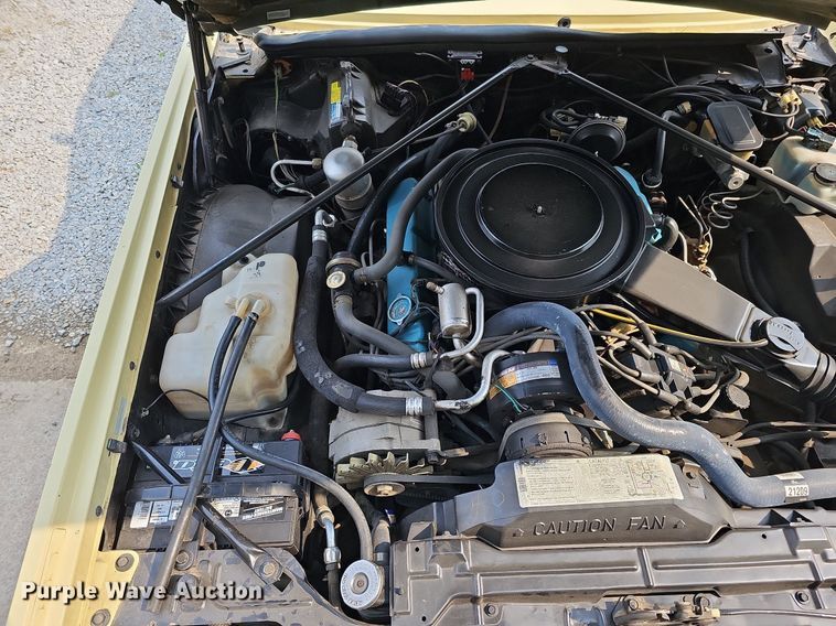 image for item DO4405 1980 Cadillac Eldorado