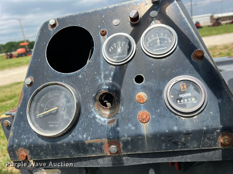 image for item LG9138 (2) Cushman golf carts