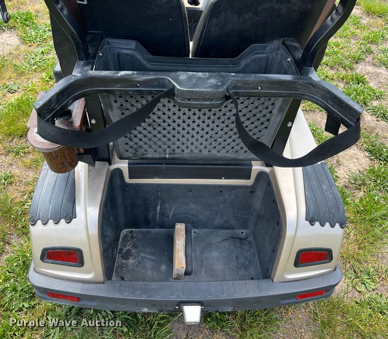 image for item LG9142 EVE  golf cart