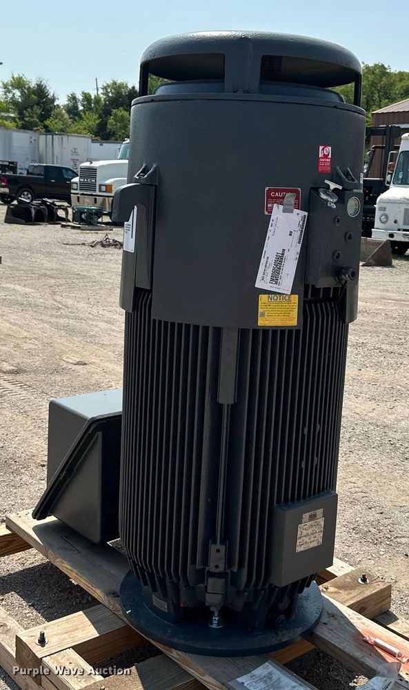 image for item LP9956 Nema  electric motor