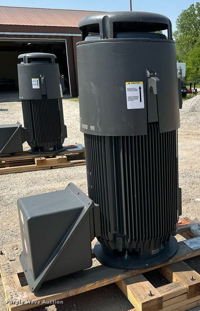 image for item LP9956 Nema  electric motor