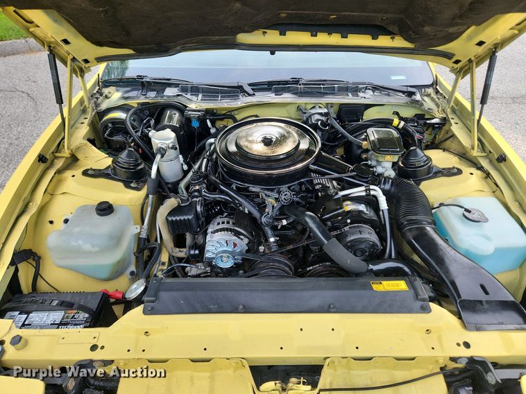 image for item LX9613 1987 Pontiac Firebird Formula