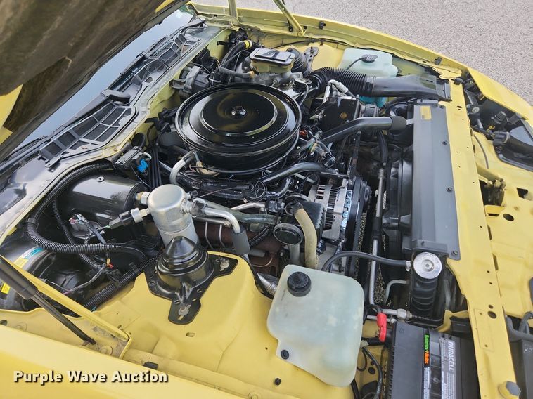 image for item LX9613 1987 Pontiac Firebird Formula