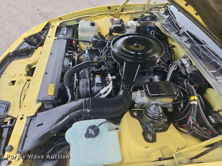 image for item LX9613 1987 Pontiac Firebird Formula