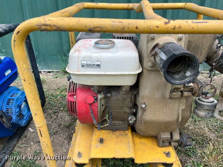 image for item II9123 (2) pumps