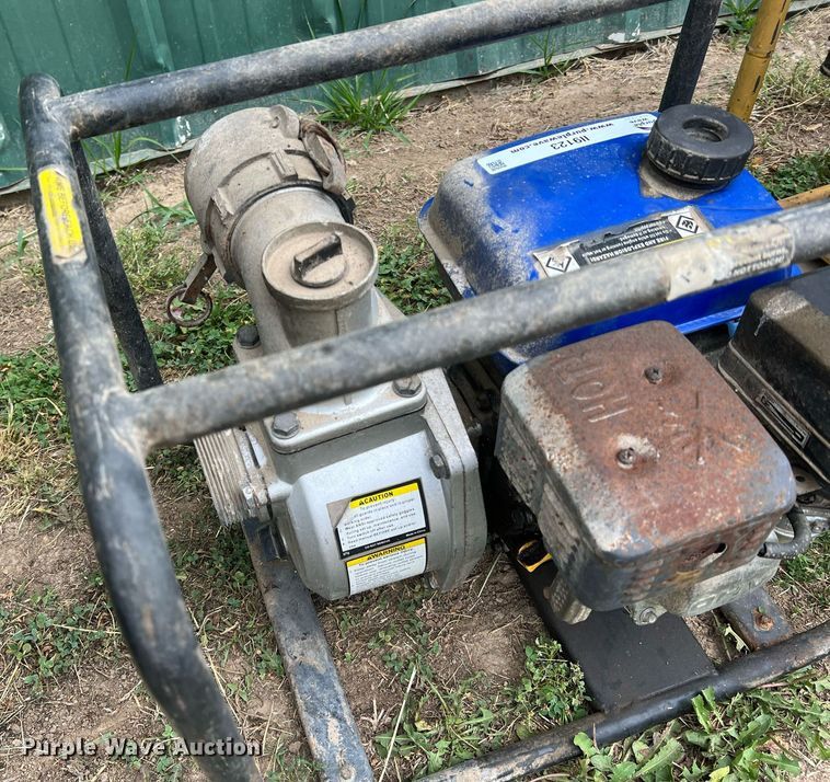 image for item II9123 (2) pumps