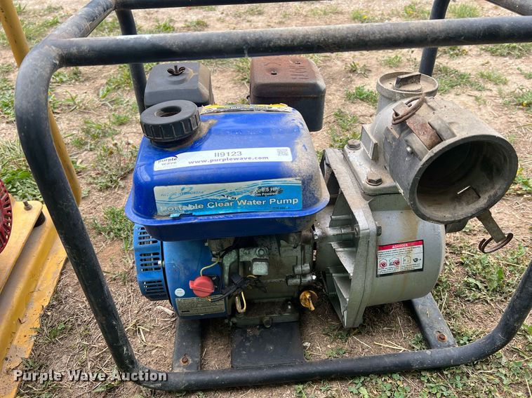 image for item II9123 (2) pumps