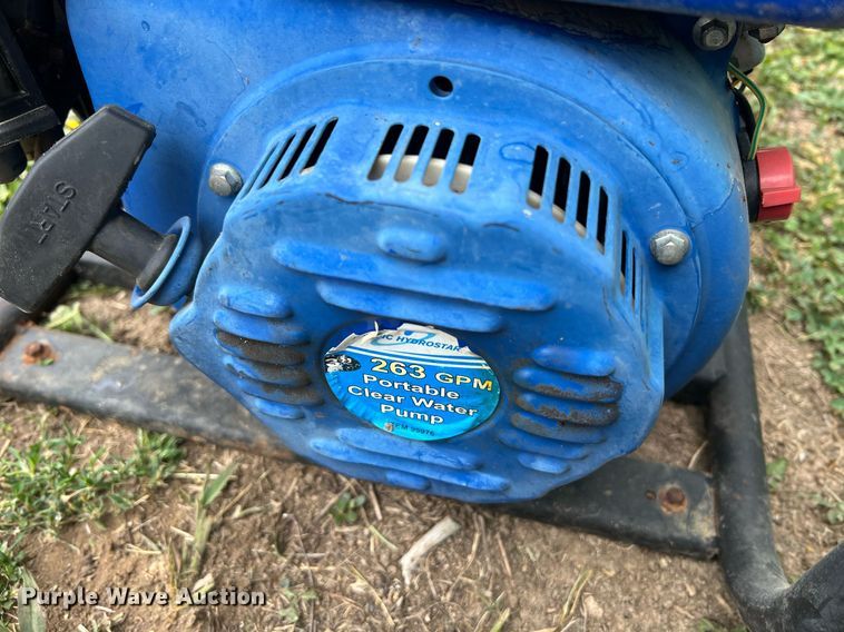 image for item II9123 (2) pumps