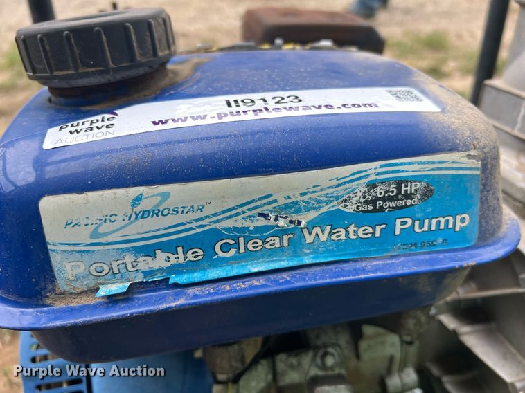 image for item II9123 (2) pumps