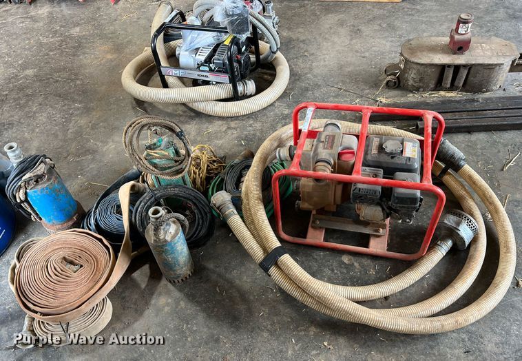 image for item LI9762 (4) pumps