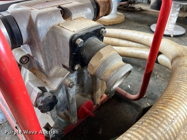 image for item LI9762 (4) pumps