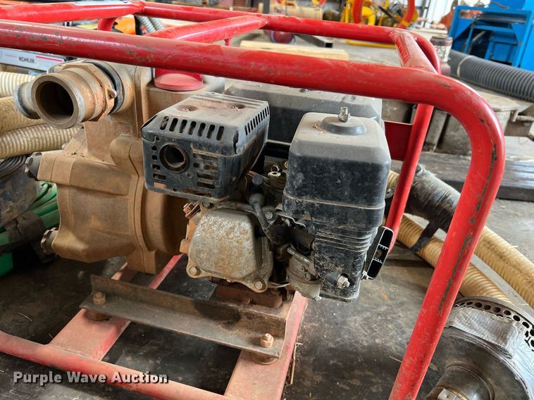 image for item LI9762 (4) pumps