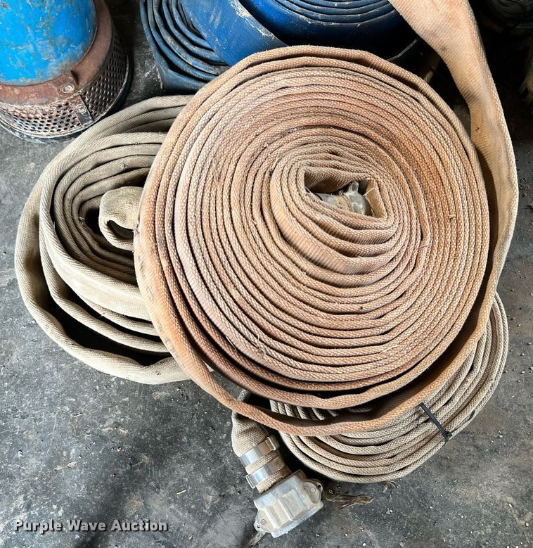 image for item LI9762 (4) pumps