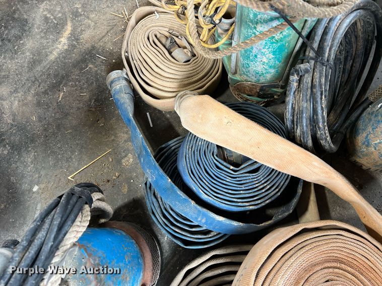 image for item LI9762 (4) pumps