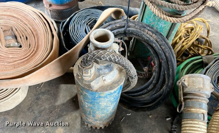 image for item LI9762 (4) pumps