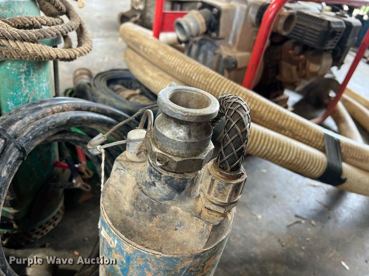 image for item LI9762 (4) pumps