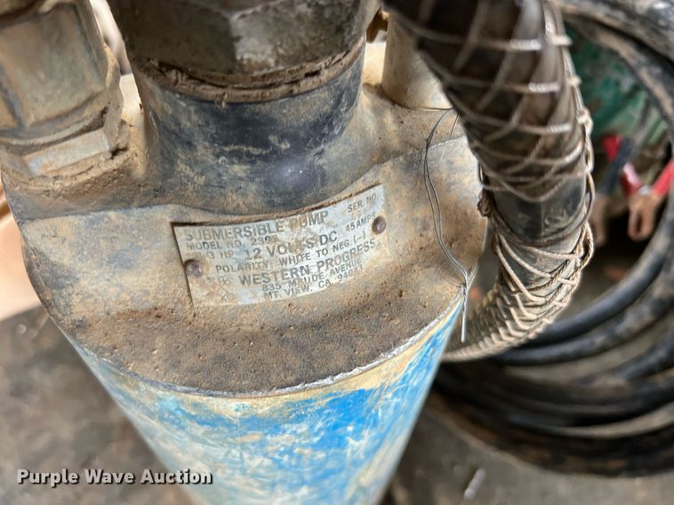 image for item LI9762 (4) pumps