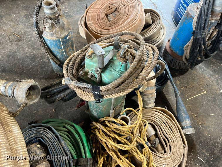 image for item LI9762 (4) pumps