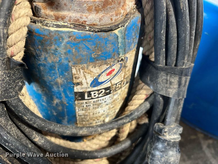 image for item LI9762 (4) pumps