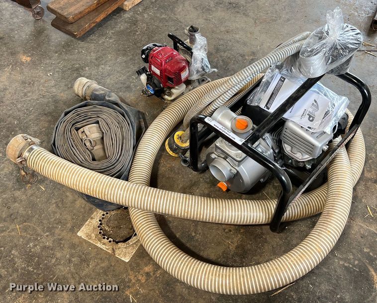 image for item LI9763 (2) pumps