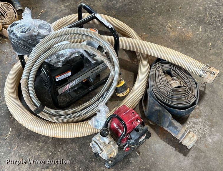 image for item LI9763 (2) pumps