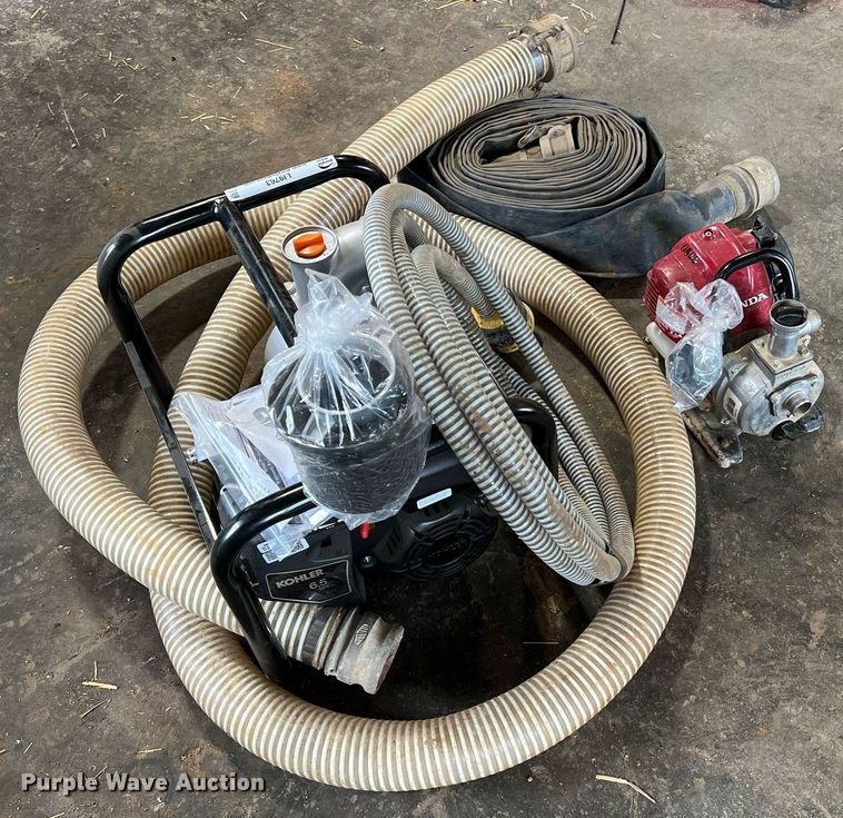 image for item LI9763 (2) pumps