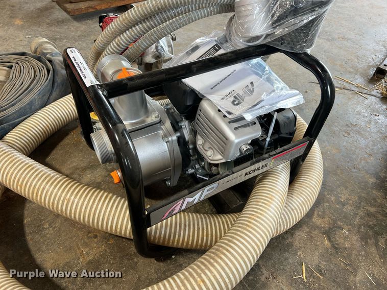 image for item LI9763 (2) pumps