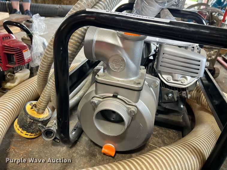 image for item LI9763 (2) pumps