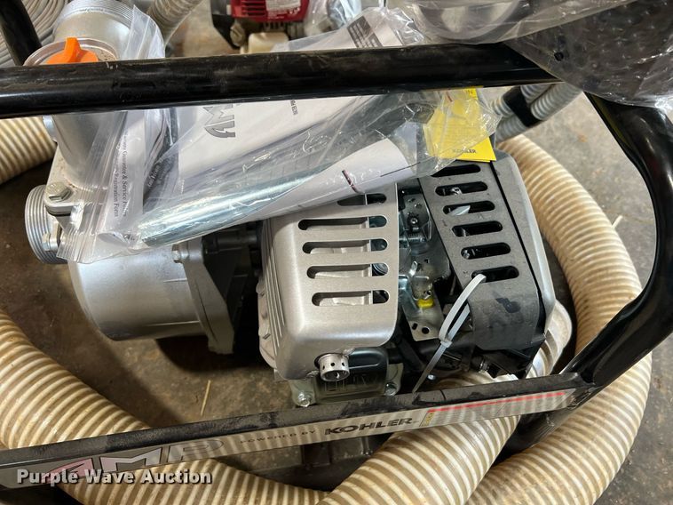 image for item LI9763 (2) pumps