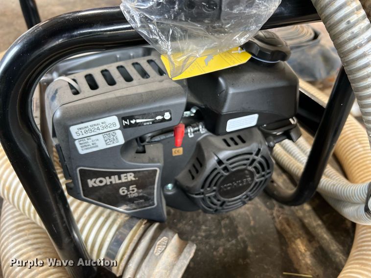 image for item LI9763 (2) pumps