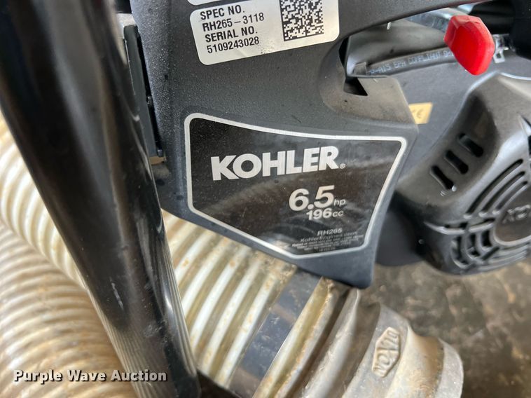 image for item LI9763 (2) pumps