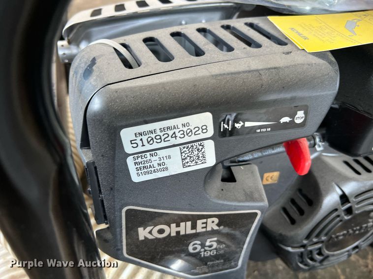 image for item LI9763 (2) pumps