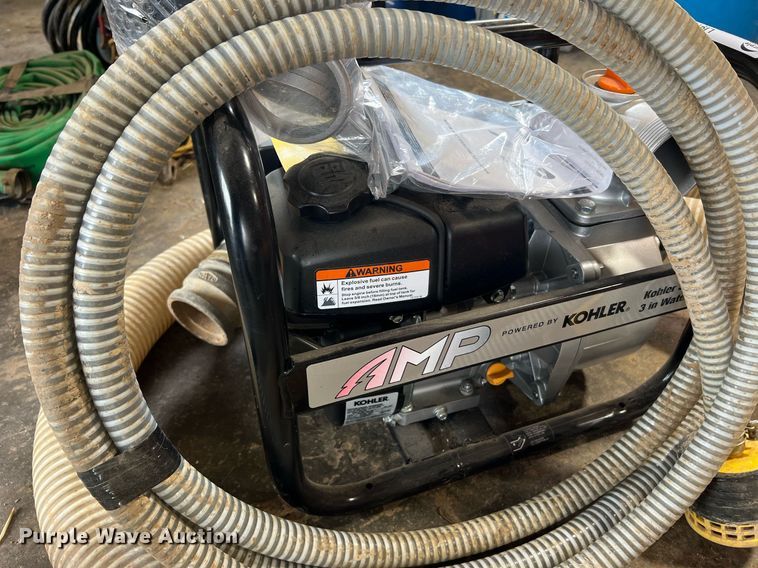 image for item LI9763 (2) pumps