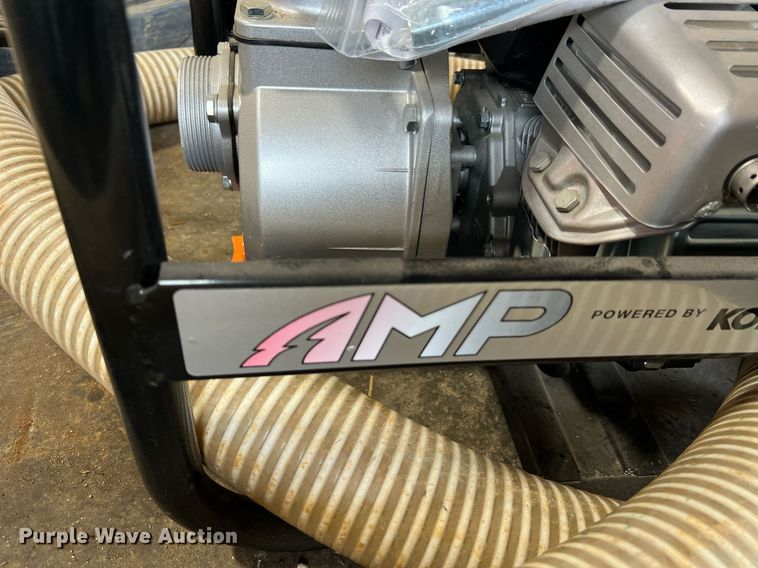 image for item LI9763 (2) pumps