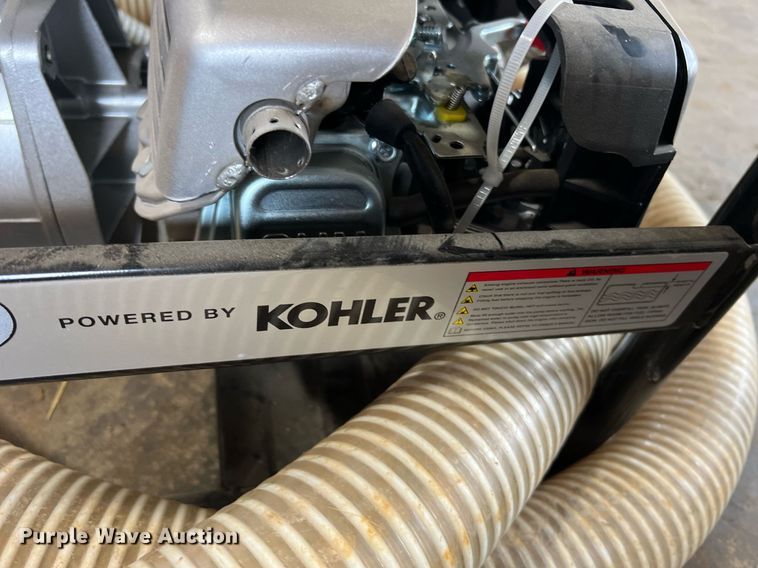 image for item LI9763 (2) pumps