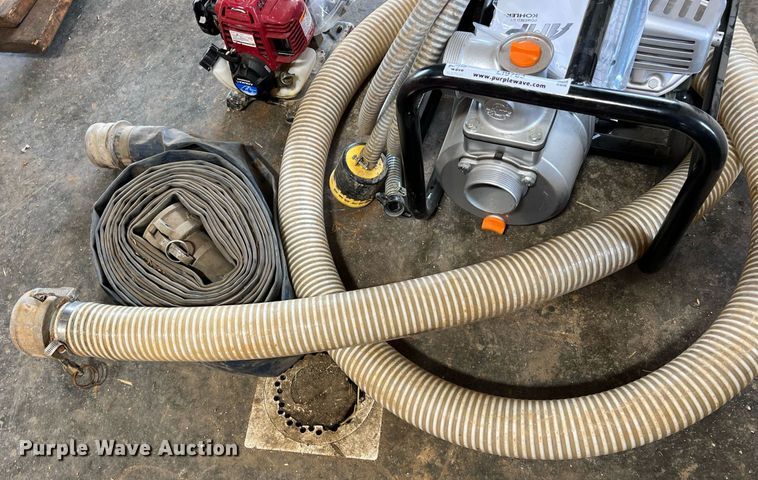 image for item LI9763 (2) pumps