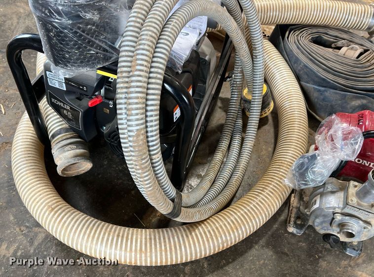 image for item LI9763 (2) pumps