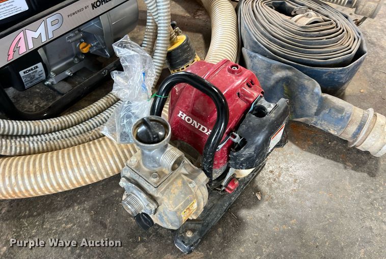 image for item LI9763 (2) pumps