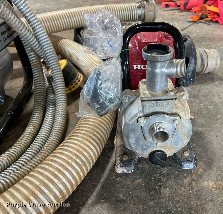 image for item LI9763 (2) pumps