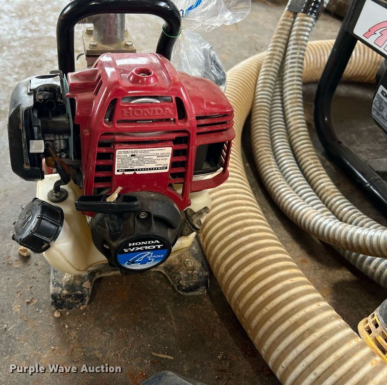 image for item LI9763 (2) pumps