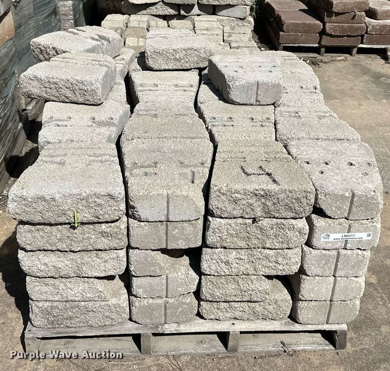 image for item LN9217 (154) tumbled concrete pavers