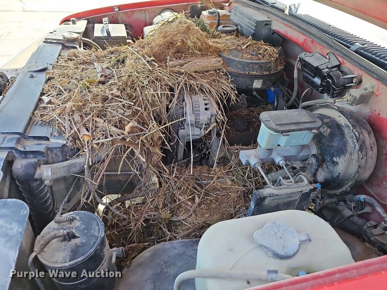 image for item LW9568 1994 Chevrolet C1500  pickup truck