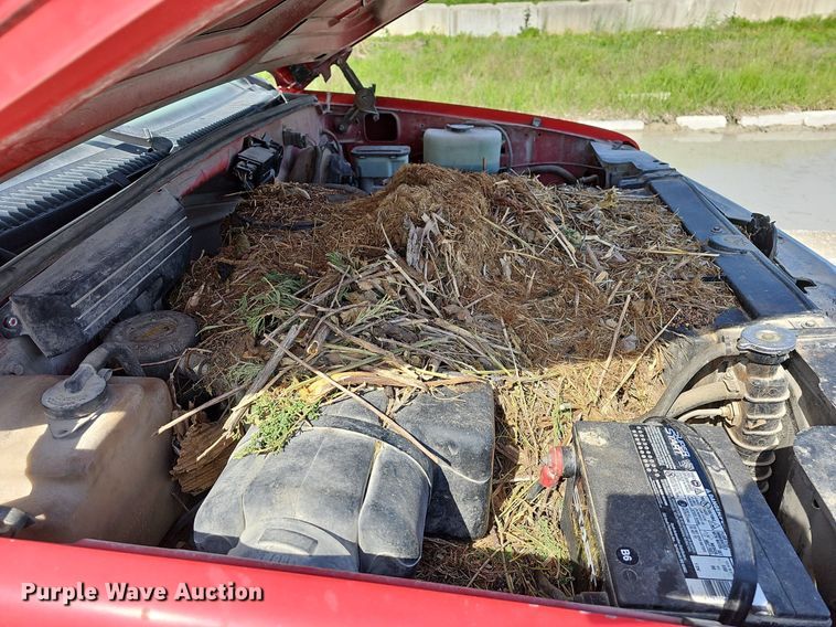 image for item LW9568 1994 Chevrolet C1500  pickup truck