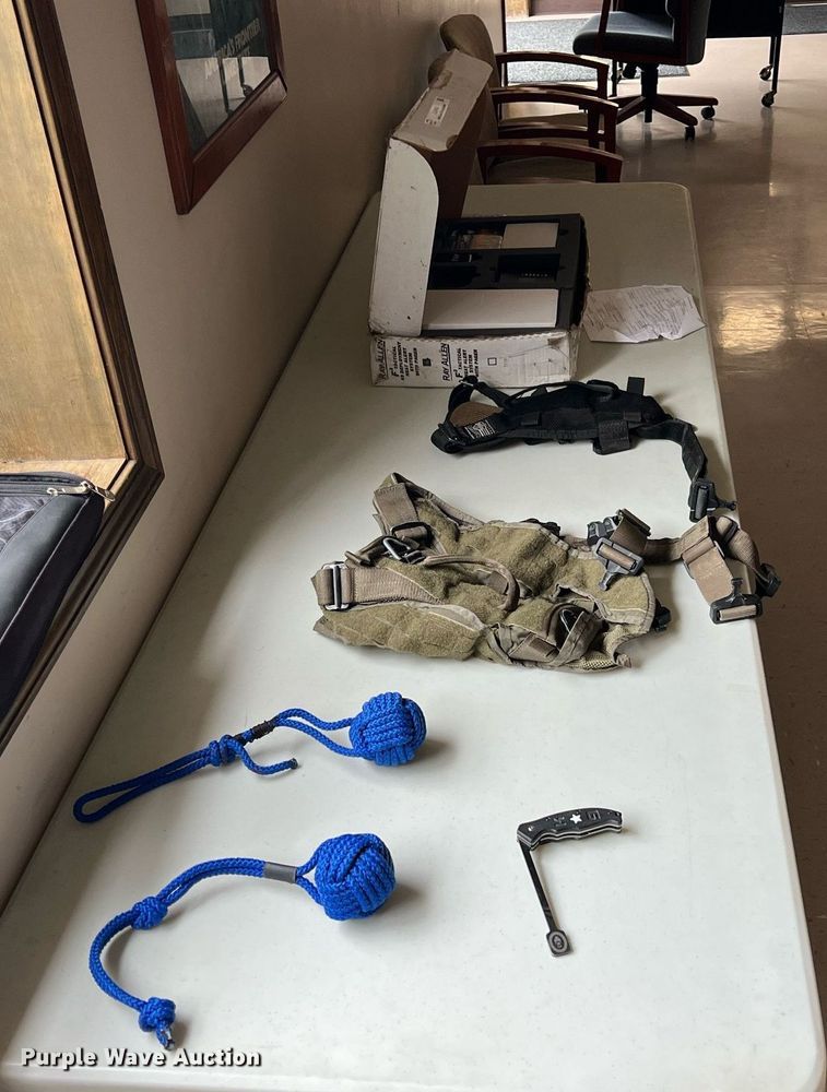 image for item LG9182 Ray Allen K9 heat alert system