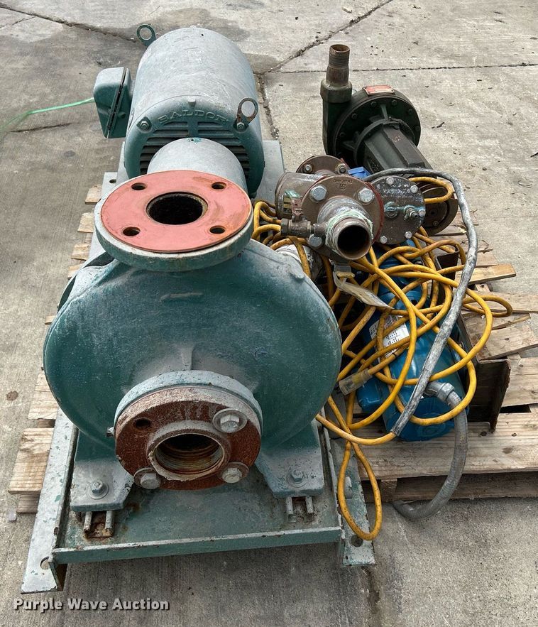 image for item MC9911 (3) pumps