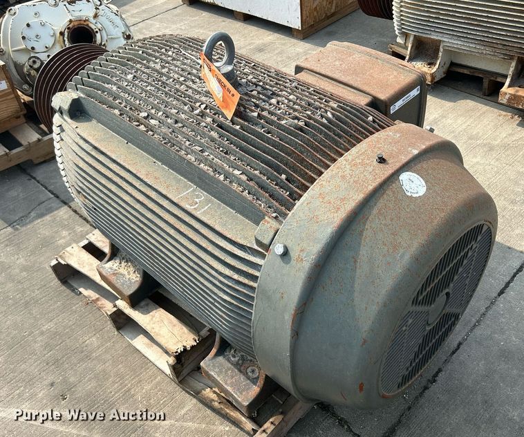 image for item MC9955 WEG W21  electric motor