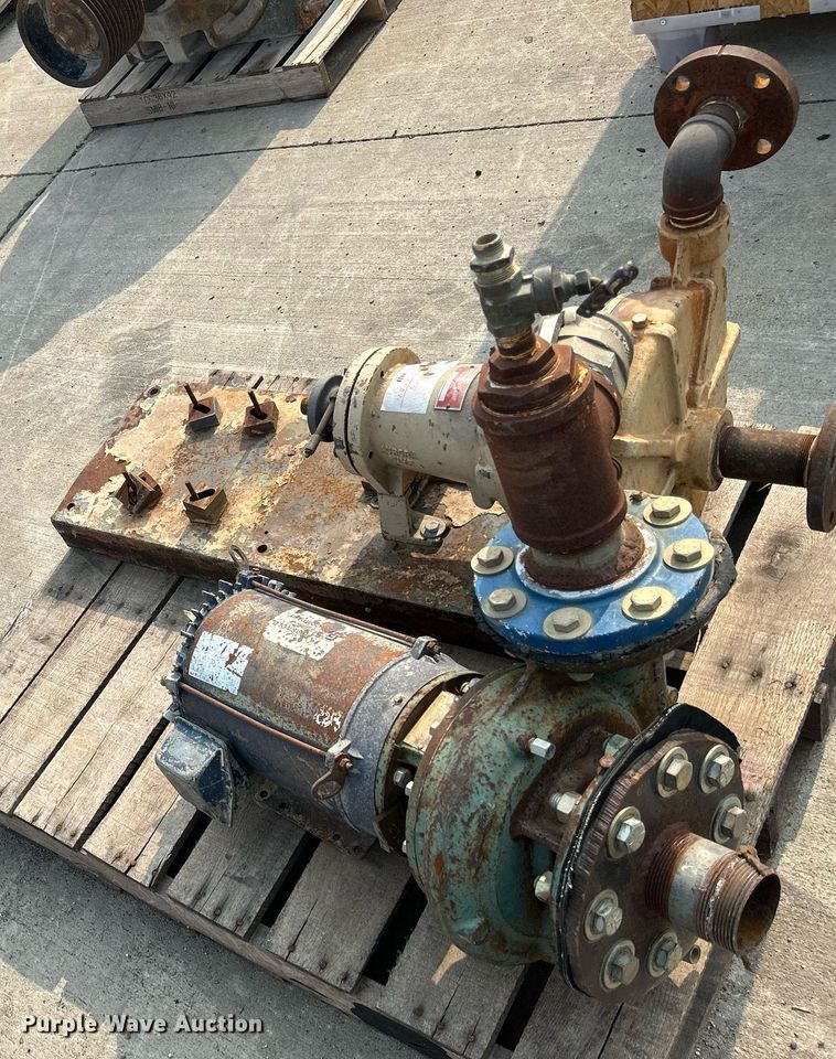 image for item MC9959 (15) pumps